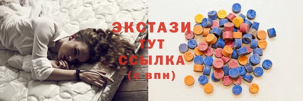 гидра Богданович
