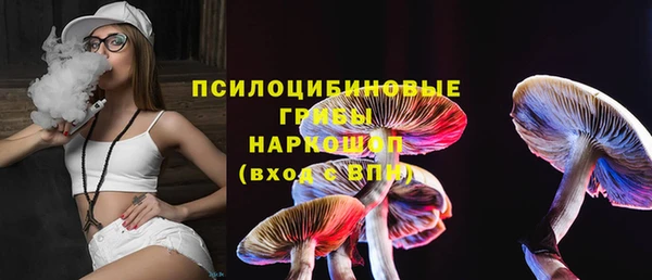 гидра Богданович