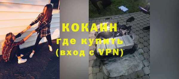 гидра Богданович