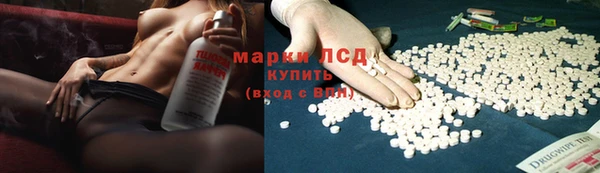 гидра Богданович