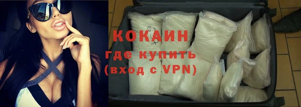 гидра Богданович