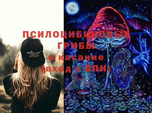 экстази Богородицк