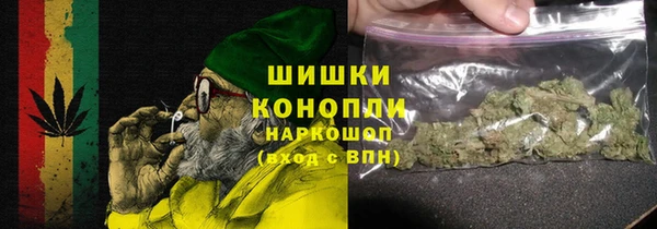 гидра Богданович