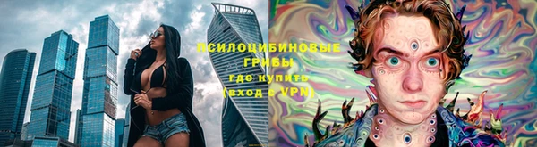 экстази Богородицк