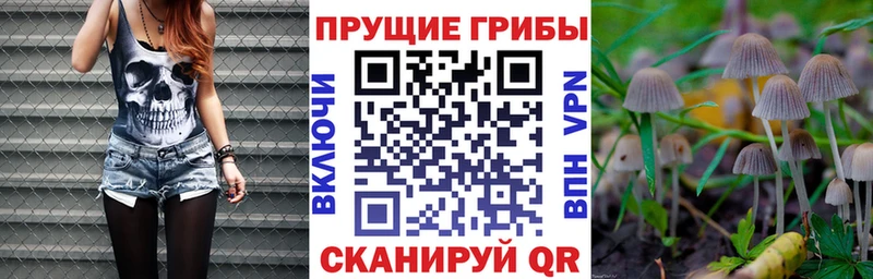 Псилоцибиновые грибы MAGIC MUSHROOMS  Харовск 